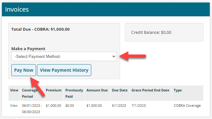 Make a Payment dropdown list